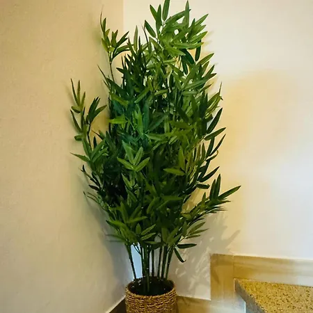 Cristina's House בית הארחה פררה