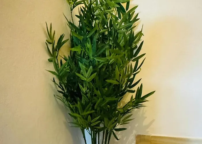 Cristina's House בית הארחה פררה