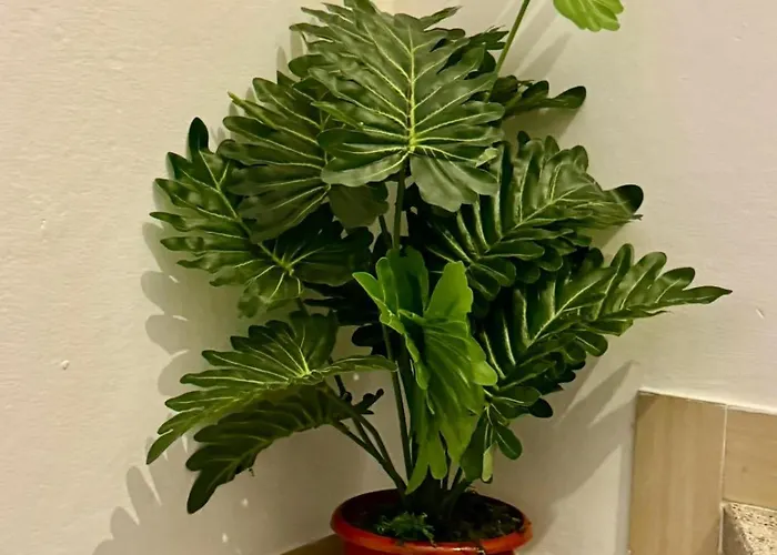 Gasthuis Cristina's House 3*